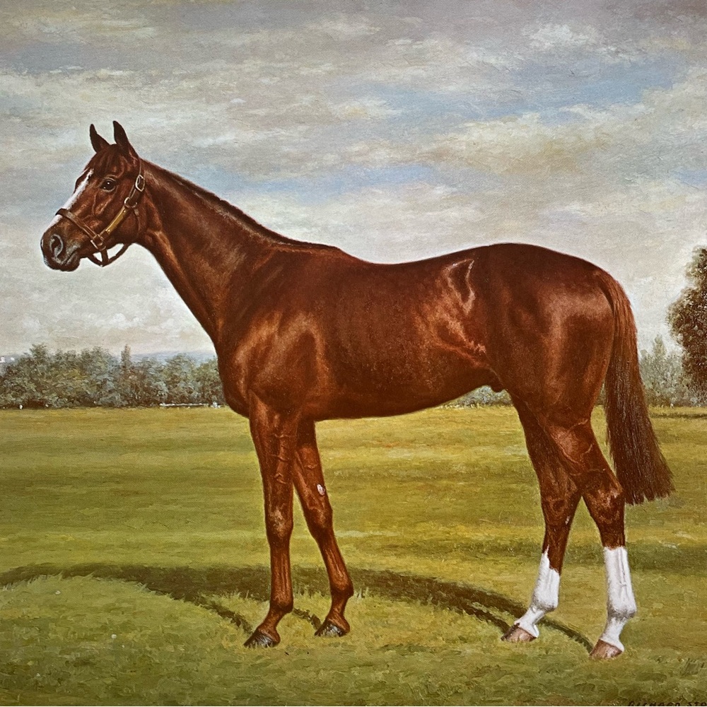 Richard Stone Reeves print book page Sea Bird thoroughbred race horse racing art
